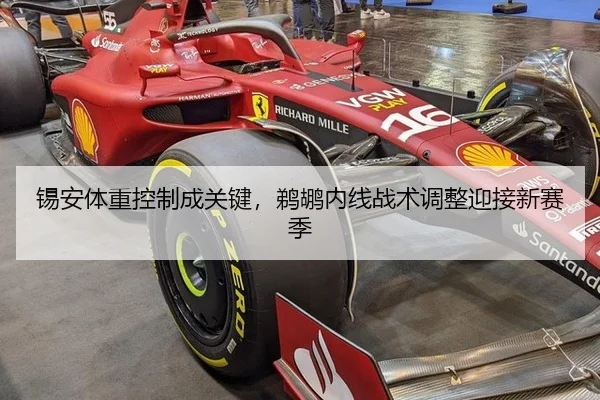 锡安体重控制成关键，鹈鹕内线战术调整迎接新赛季